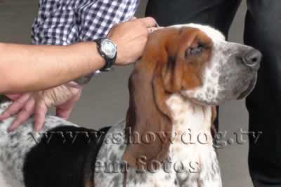 Clique sobre a foto para fechar